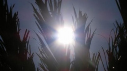 Oči dětí jsou na sluneční záření citlivější, je nutné je chránit 