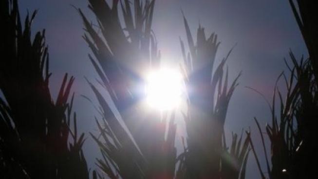 Třetina Čechů si spojuje dovolenou s opalováním