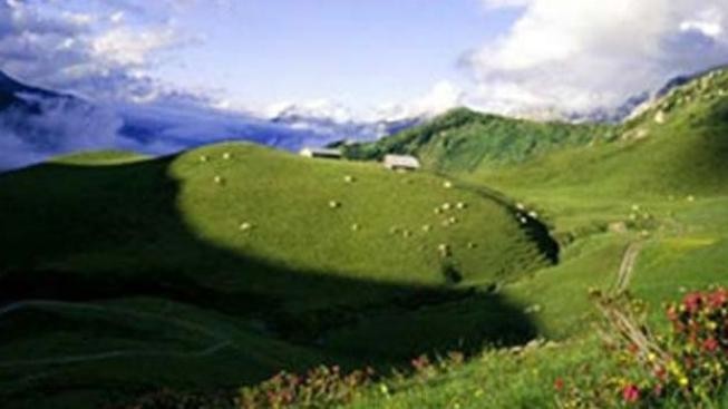 Rakousko a Maďarsko sužují vedra, Balt má teplotu Egejského moře 