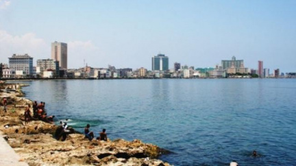 Stokrát nic umořilo osla, stokrát sex umořil pštrosici 