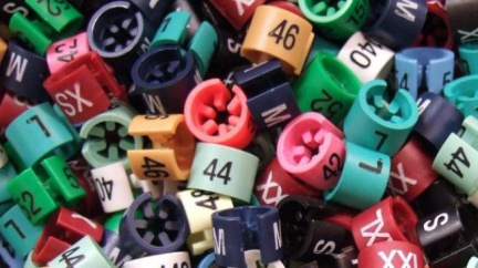 Téměř všechny americké dívky pociťují tlak módního průmyslu 