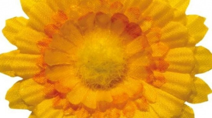 Při květinové sbírce boje proti rakovině se vybralo přes 14,5 milionu 