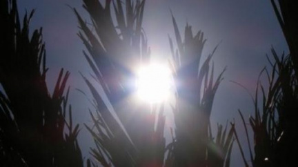 V Budějovicích naměřili přes 32 stupňů, padl rekord