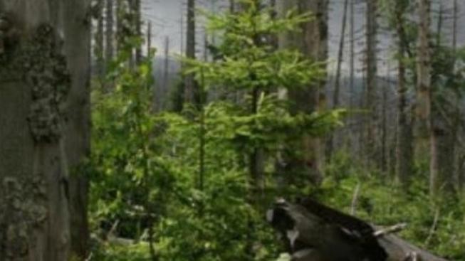 O víkendu začne sezona na Schwarzenberském plavebním kanálu 