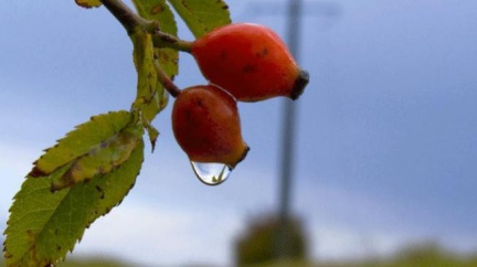 Meteorologové: Deště ustávají, do konce týdne bude pršet ojediněle