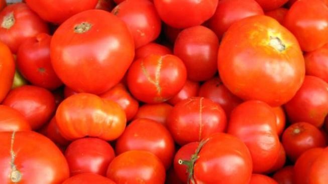 Páteční kladenské farmářské trhy, tip na výlet za zdravím