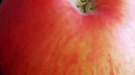 Jarní únavu překoná dobré jídlo a zdravá aktivita, tvrdí znalci