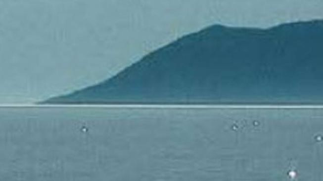 Lokve: Žába jako domácí mazlíček