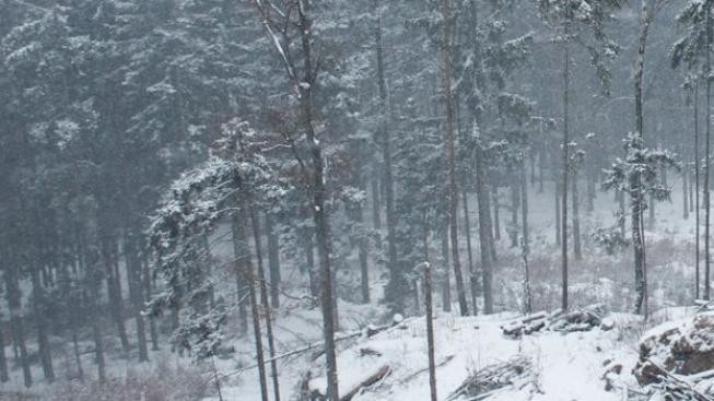 Ztracený voják zemřel na vyčerpání a podchlazení