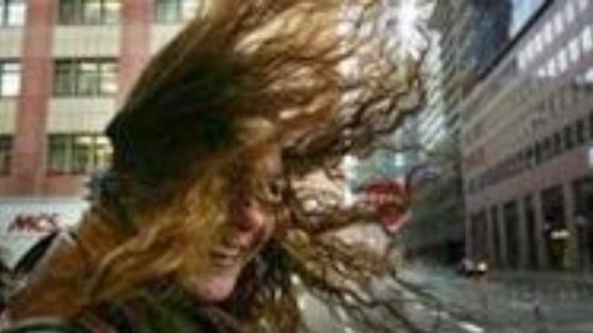 ČHMÚ: Republiku zasáhne silný vítr, budou i bouřky a přeháňky 