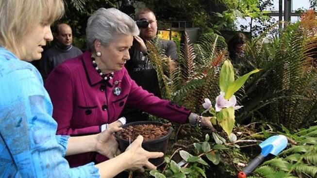 Botanická  zahrada otevírá svoji nejkrásnější jarní  výstavu 