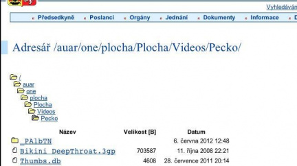 Co najdete na stránkách Poslanecké Sněmovny? Porno a pitvu mimozemšťana