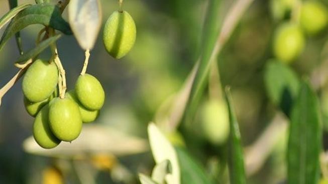 Sardinie: Ostrov chutí, vůní a báječného jídla 