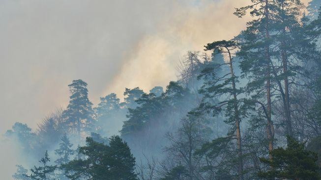 Na Přeloučsku se vznítil nebezpečný požár. V akci je deset jednotek hasičů