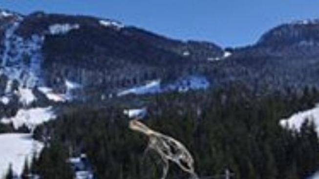 Pokud se neochladí, ´královský´ sjezd mužů bude odložen