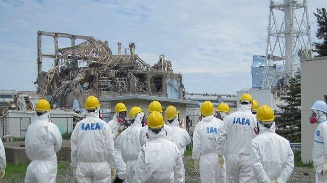 Ryby z oblasti Fukušimy jsou stále kontaminované