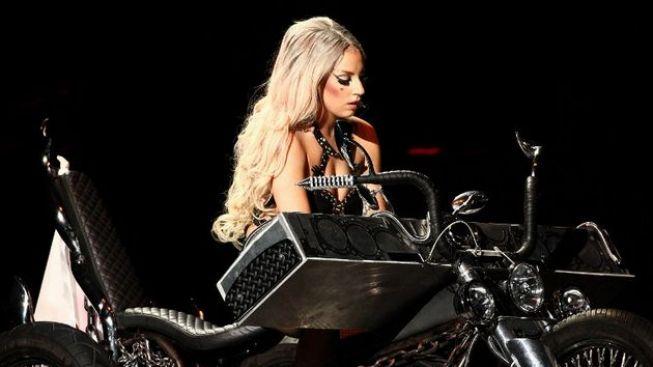 Vědci pojmenovali rod kapradin podle Lady Gaga