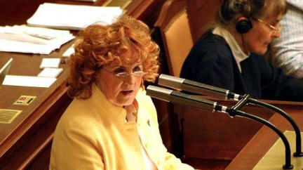 Kalousek: Případ Parkanové je jako obvinění z čarodějnictví