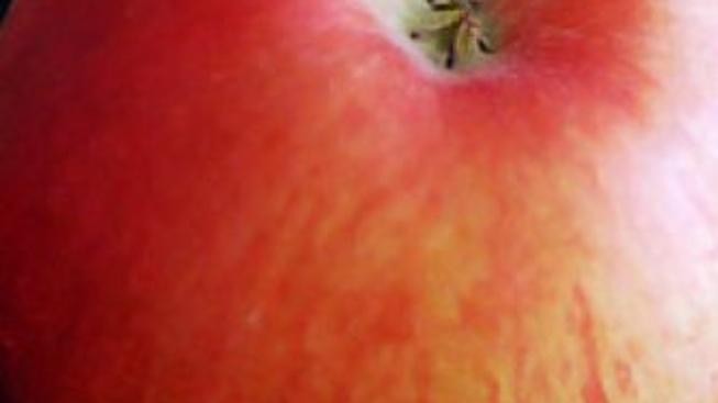 Dvanáct rad pro život s chronickou hepatitidou C