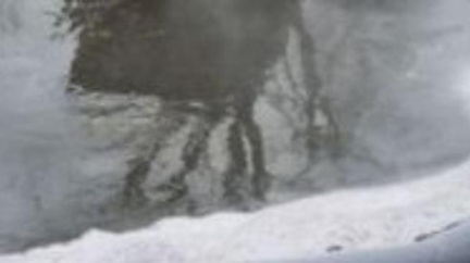 Chemické látky, které znečistily Bílinu, pronikly do Labe