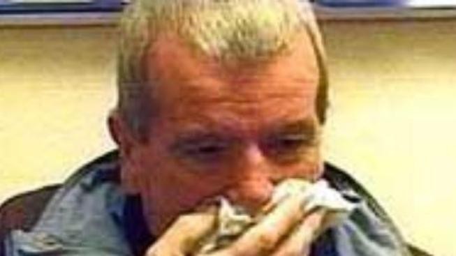 Na prasečí chřipku dosud zemřelo v Česku 38 lidí