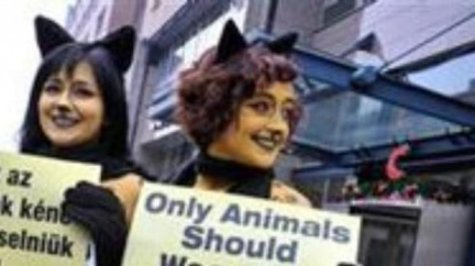 Polonahé aktivistky v Praze protestovaly proti nošení kožešin