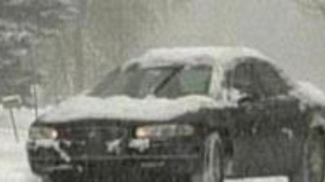 Vítr vyvracel v Moravskoslezském kraji stromy