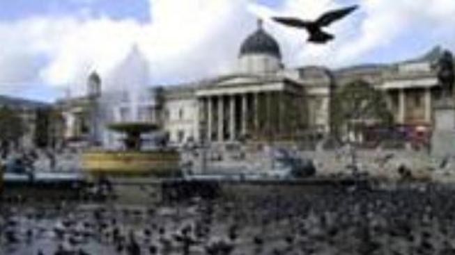 Průzkum: Náskok britských konzervativců se snižuje