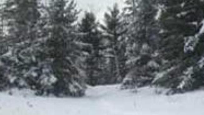 Ochlazení v ČR: V noci bude mrznout, na horách sněžit