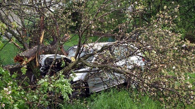 Na Strakonicku narazilo auto do stromu. Řidič zemřel
