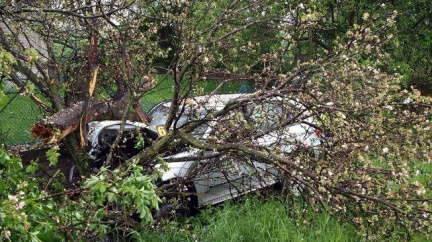 Na Strakonicku narazilo auto do stromu. Řidič zemřel