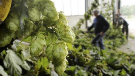 Nezaměstnanost klesá jen díky sezonním pracím