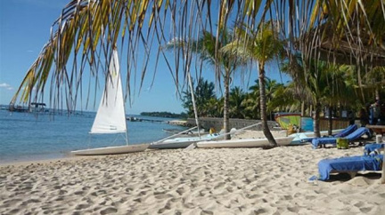 Líbánky na Mauriciu