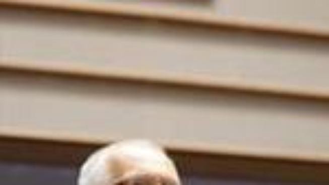 Klaus: Lidé podceňují důležitost institucí EU