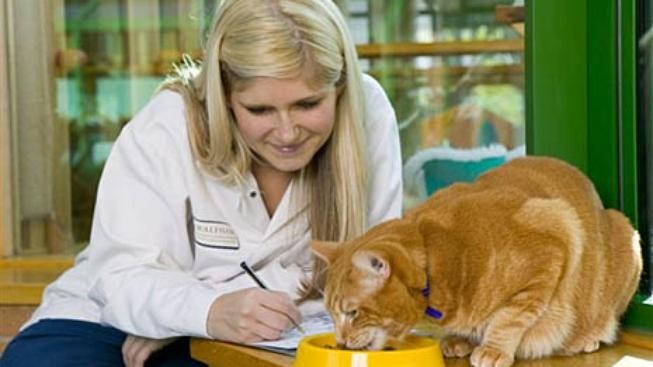 Zdravá výživa psů a koček