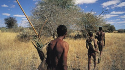 Kalahari, ztracená domovina posledních Křováků
