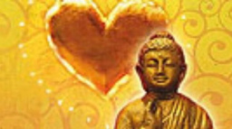 Princezny, Plaváčci a Popelky