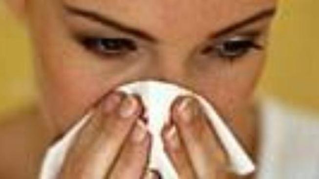 Zajímavosti k očkování proti nové chřipce typu A H1N1