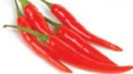 USA: Smrtící chilli