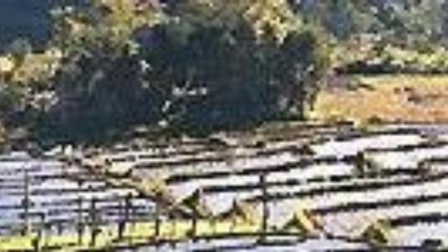 Indonésie: Malý léčitel s magickým kamenem v hlavě