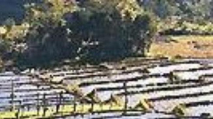 Indonésie: Malý léčitel s magickým kamenem v hlavě