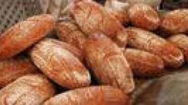 Tip na výlet do Polska: Muzeum chleba