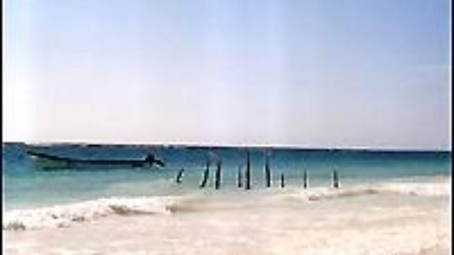 St Bees: Psí Robinsonka