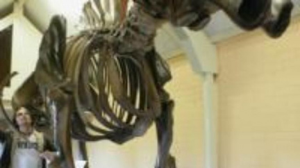 Prahistorické dědictví La Brea