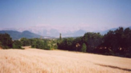 Po stopách pašeráka Escobara