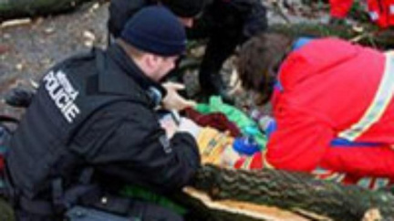 Chlapec pád stromu ve Zlíně nepřežil