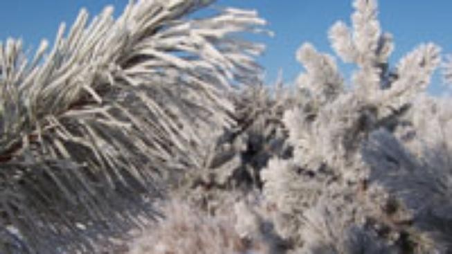 Teploty v Česku spadly pod minus 20