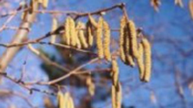 Rok 2008 byl teplotně nadprůměrný