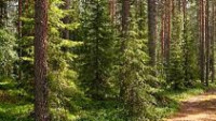 Naučná stezka na Bezručův vrch