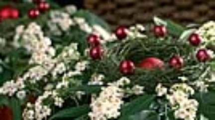 Advent v Babiččině údolí